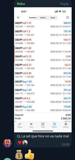 Portfolio multi-activo compartido por Shandor